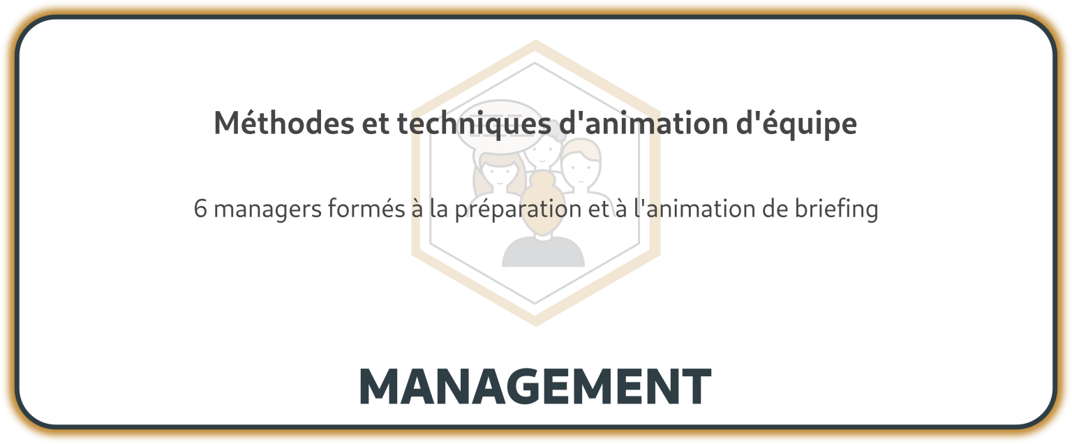 ANIMATION D'ÉQUIPE PROFESSIONNELLE - REUNION BRIEFING
