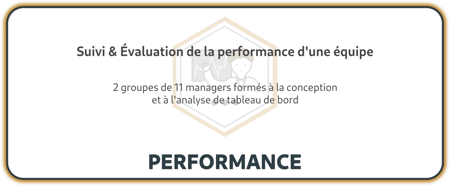 Vignette performance 1