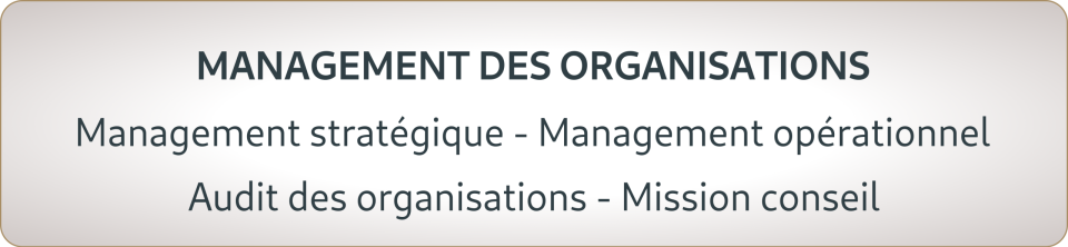 MANAGEMENT STRATÉGIQUE - MANAGEMENT OPÉRATIONNEL - MISSION CONSEIL - AUDIT DES ORGANISATIONS