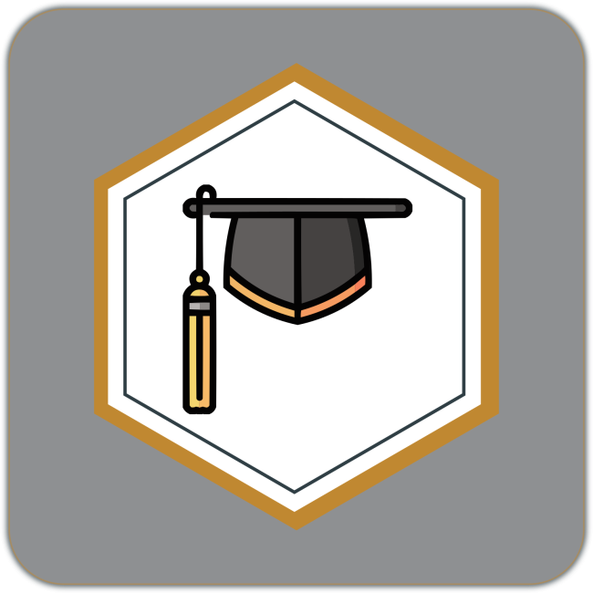 FORMATION EN ALTERNANCE - FORMATION PROFESSIONNALISANTE - CERTIFICATION PROFESSIONNNELLE